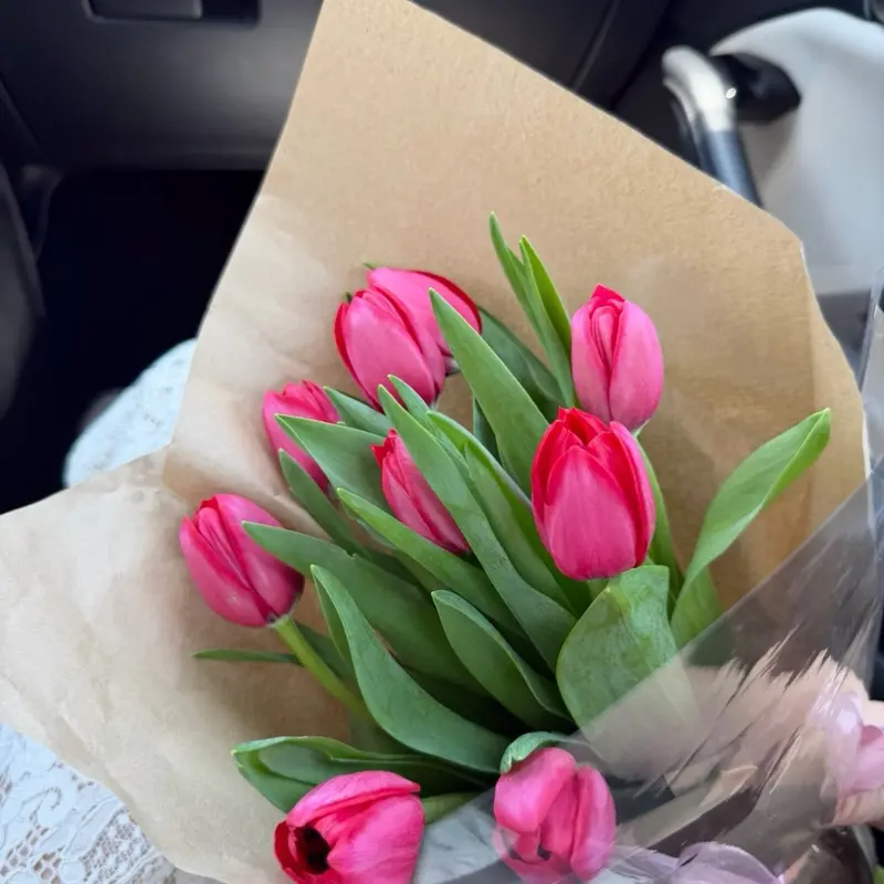 Tulip Flower, Fresh Cut Blooms for Home Decoration, 10-Stem Bunch with Long Stems