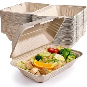50-Pack Eco-Friendly Sugarcane Fiber Compostable Clamshell Containers - 9x6 Inch, 1 Compartment, Natural Bagasse Disposable Food Storage for Take-Out & To-Go