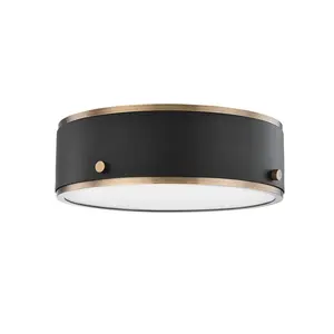 Eli Ceiling Light With Patina Brass Accents, Etched Glass Diffuser In Soft Black/White Finish