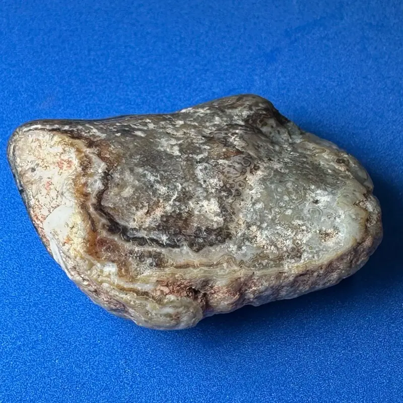 Hand Collected by Gemstone Joe! Rough South Dakota Prairie Agate- beautiful specimen! Tons of lace banding. Amazing colors!!