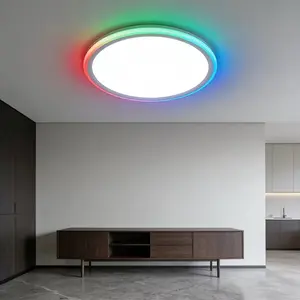 【2 PACK】12 in. RGB Selectable LED Color Changing Flush Mount Ceiling Light, 110-130v,3000K,4000K,6000K,28-Watt with Remote for Bedroom Kids Room living room Multicolor LED Ceiling Light Fixture