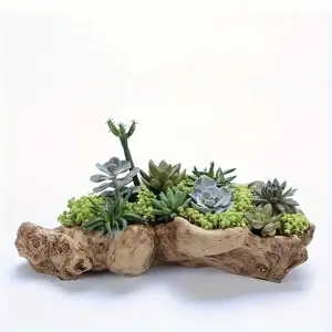 Unique Irregular Shaped Resin Succulent Planter, Succulent Pot, Durable Abs Material, Perfect for Home, Office & Garden Display, No Plants Included