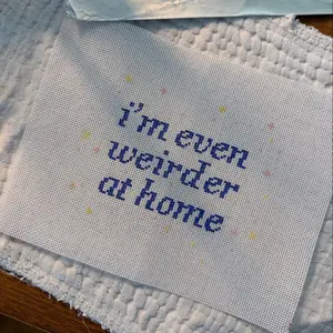 I Am Even Weirder at Home – 18 Mesh Needlepoint Canvas, Hand-Painted