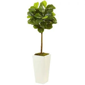 4.5’ Fiddle Leaf Fig Tree in White Planter (Real Touch)