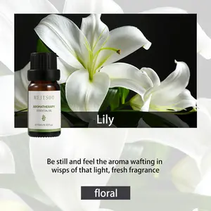 Essential Oils for Diffusers - Home & Bedroom Aromatherapy Oil, Ultrasonic Humidifier Compatible, 100% Natural Plant Extracts, Quiet Diffusion, Baby & Pet Safe,Long-Lasting Fragrance Set