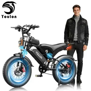 YOULON Electric Bike for Adults 1500W Peak 20" Fat Tire All-Terrain E-Bike 30 MPH Electric Dirt Bike for Road Sand Mountain Snow - 48V 20 AH Battery Powered Electric Motorcycle, Full Suspension E Bike