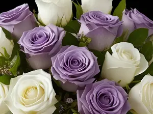 Purple Rain - Lavender & White Roses
