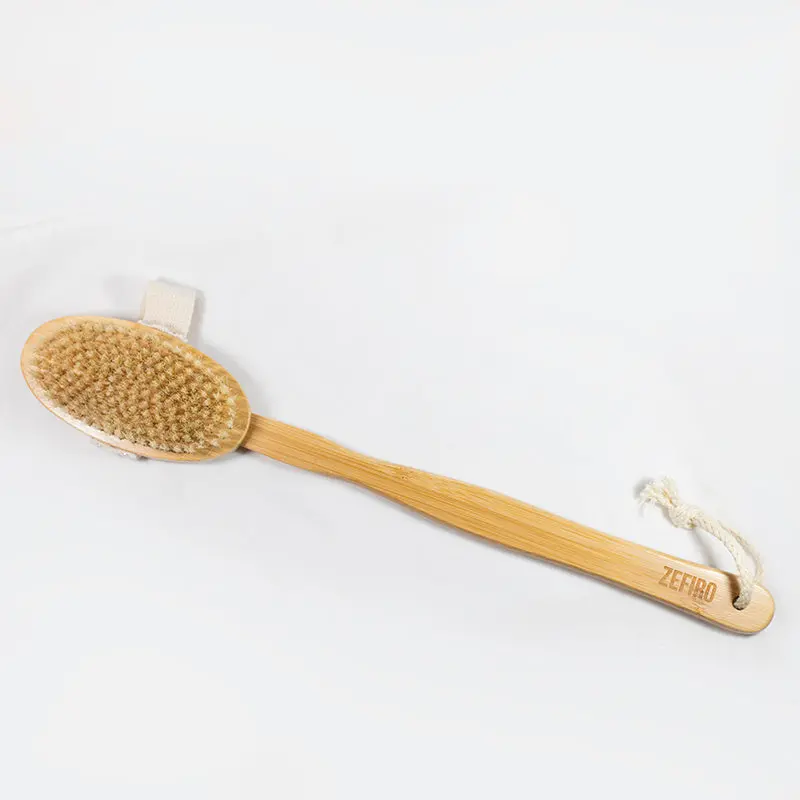 Long Handled Wet/Dry Brush