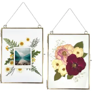 Set of 2 Double Glass Hanging Frames for Pressed , Leaf, and Artwork - Large Rectangular Tempered Glass Wall Decor with Chain (8x10, Antique bronze)
