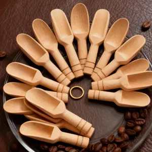 Wooden Measuring Spoons Set, 25 Pieces, Coffee Bean Spoon, Tea Spoon, Laundry Powder Spoon, Milk Powder Spoon, Honey Spoon