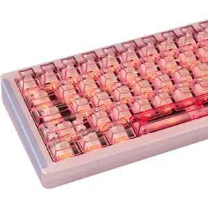 Custom Pink Clear Transparent PC Jelly Keycaps, Cherry Profile Full Set 157 Keys, Customized Crystal Keycaps Compatible with 60% 65% 75% 100% Layout Mechanical Keyboards, Perfectly Fits Cherry Gateron MX Switches summervibes