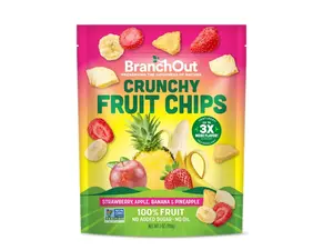 BranchOut Crunchy Fruit Chips with Strawberry, Apple, Banana & Pineapple, No Added Sugar, 7 oz.