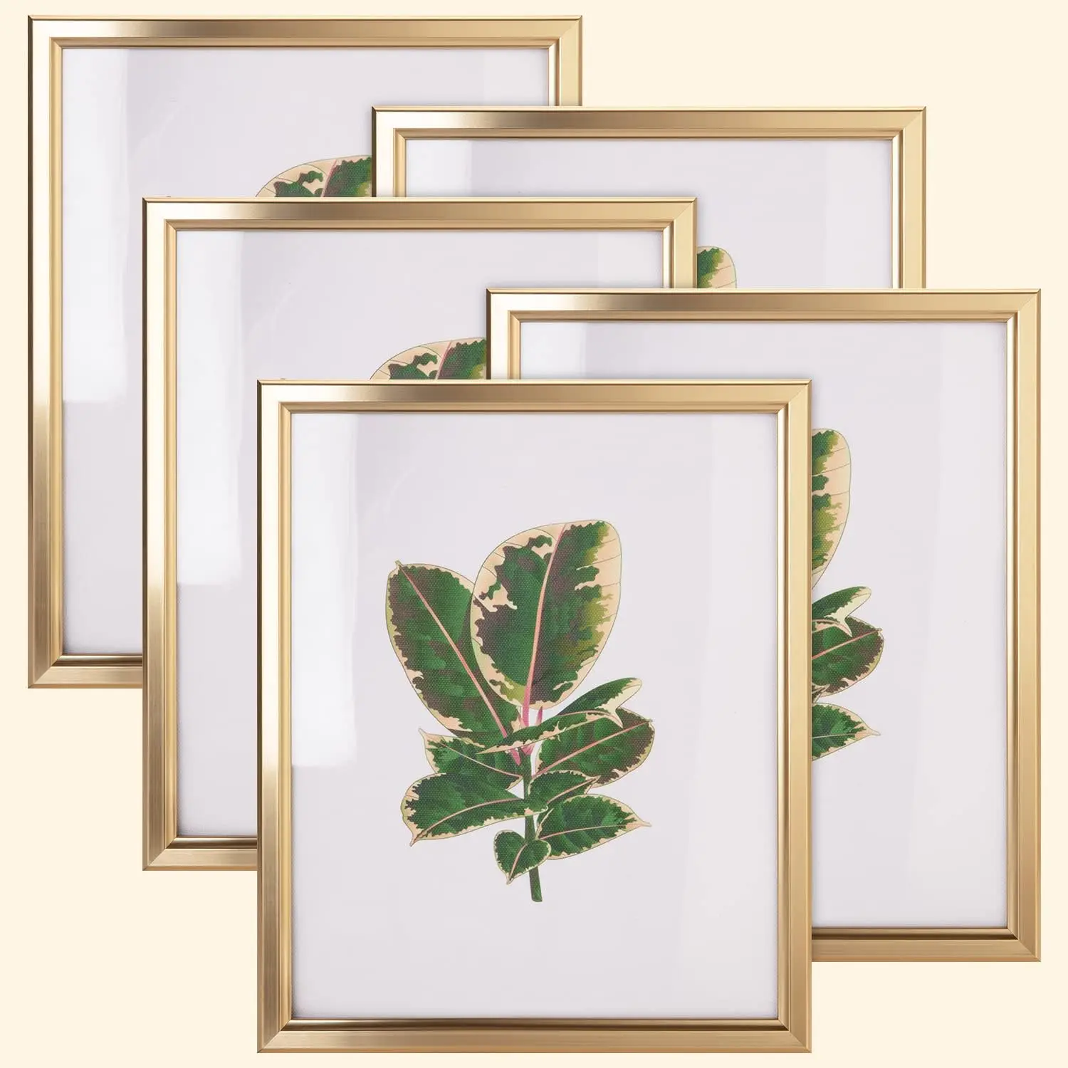 8x10 Picture Frame - Set of 5, Matte Gold 8 x 10 Photo Frame with High-Definition Glass, Modern 8x10 frame for Tabletop or Collage Wall, Perfect Christmas Frame