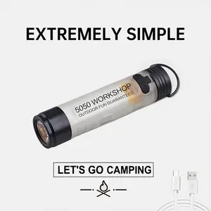 Pocket Rechargeable Flashlight EDC Flashlight, 300 Lumens, USB Type-C Interface, Keychain Light, Portable Small Mini LED Flashlight with Pocket Clip for Camping, Hiking and Emergencies Lighting Outdoor