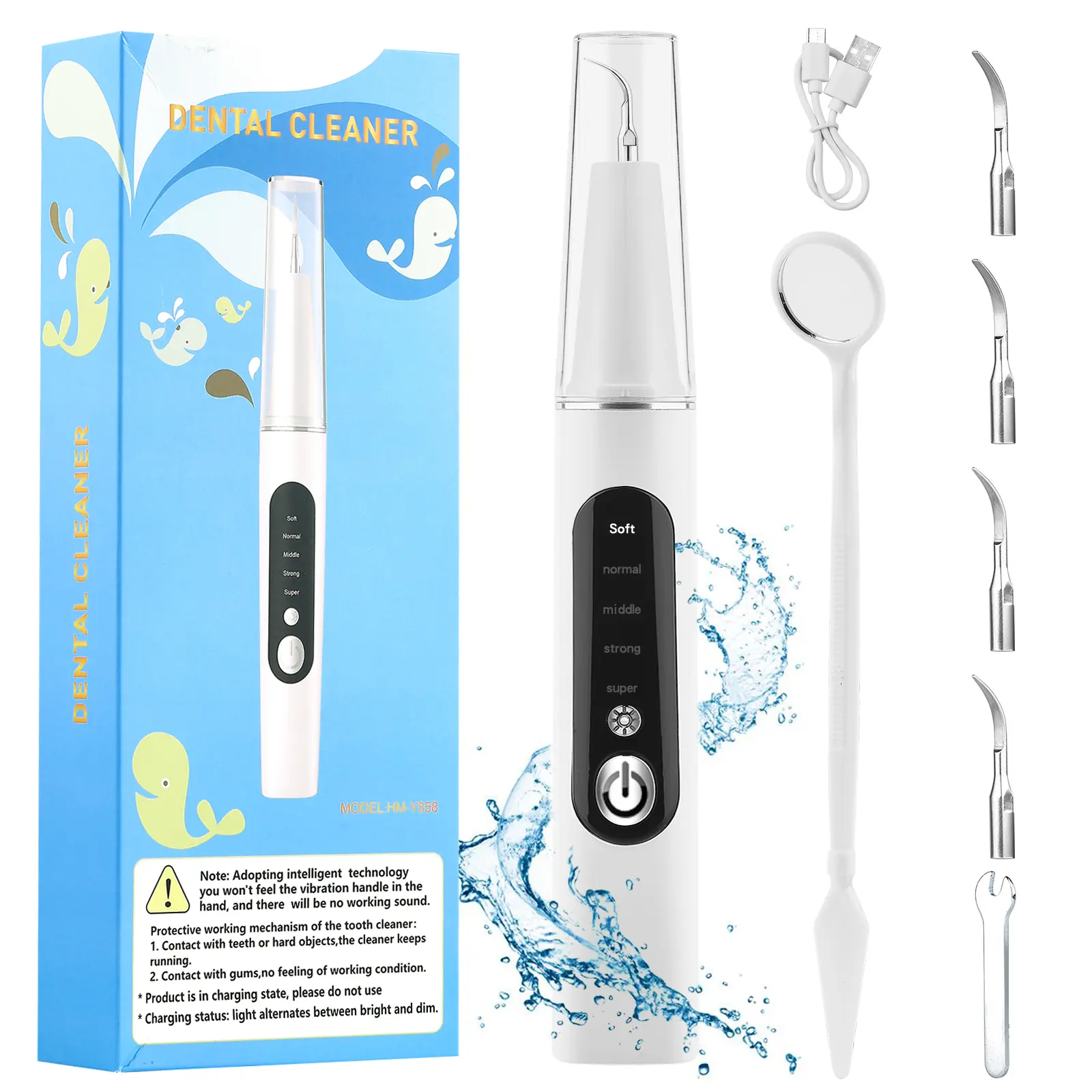 Electric Teeth Cleaner, Teeth Cleaner Set with 5 Cleaning Modes, 4 Replacement Heads, LED Light, USB Rechargeable, Ideal for Home, Outdoor, and Camping Use