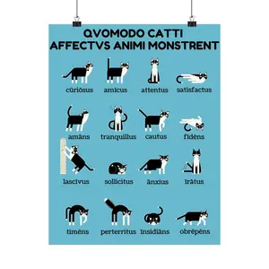 Latin Cat Emotions Poster Classroom Art, Ancient Rome