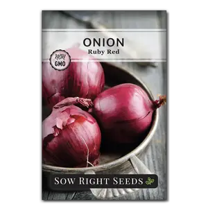 Ruby Red Onion