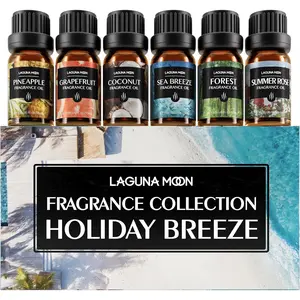 Fragrance Essential Oil - 6pc Holiday Breeze Scent Gift Set - Perfect for Candle Making, Soap Scents, Slime - Oils for Diffuser, Humidifier, Aromatherapy, Aroma Beads, Car Freshener (10mL)
