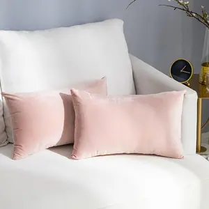 Pack of 2 Soft Throw Pillow Covers Rectangle Velvet Pillowcase for Bed Couch Sofa Bench, 12 x 20 inch (30 x 50 cm), Pink