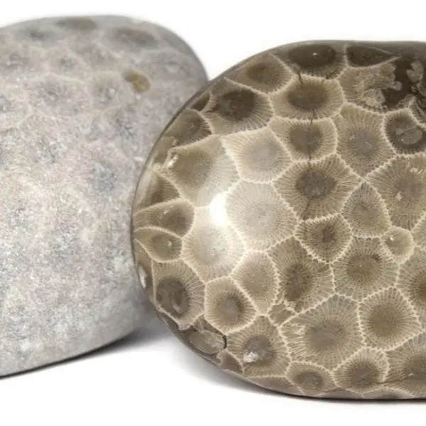 Northern Michigan gemstones