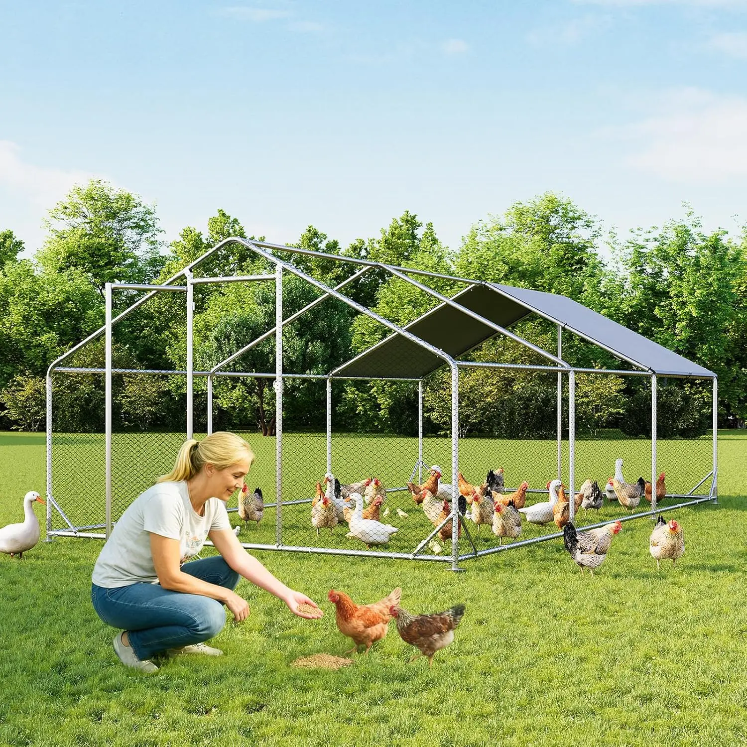 Aoxun Coated Metal Chicken Coop (13x10/6.5x10 FT) - Outdoor Walk-In Wire Fencing Enclosure Fence, Birdproof Cages & Accessories with Spire Peak Roof, Security Lock, 420D Oxford Fabric Cover for Farm Use