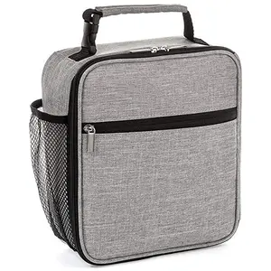 Insulated Lunch Bag, Leakproof Portable Lunch Box for Women Men Boys Girls, Large Capacity Cooler Bag with Handle and Bottle Pocket for Office School Camping Hiking Outdoor Beach Picnic