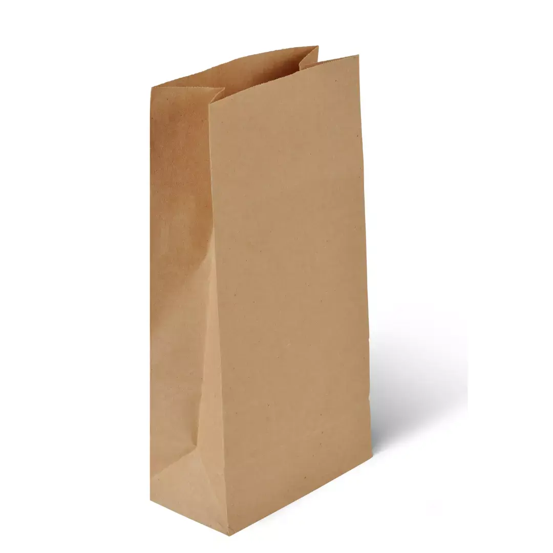 DEMAYA #2 Brown Kraft Paper Bags, 500 CT, Office Stationery & Gift Wrapping Supplies for Gifting Needs