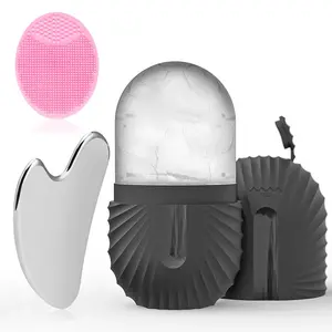 Reusable Skin Care Tools, Facial Cleansing Instrument, Ice Roller & Silicone Face Scrubber Brush & Stainless Steel Gua Sha Board, Facial Beauty Massagers, Personal Beauty Set for Women & Men Daily Use