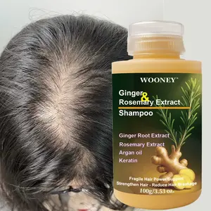 100g Ginger & Rosemary Extract Shampoo, Gentle Silkening Shampoo, Keratin Argan Oil Strengthen Hair and Reduce Hair Breakage Fragile Hair Deeply Clean Hair Oil, Improve Dryness, Frizz, Split Ends, Keep Hair Soft, Smooth, and Shiny