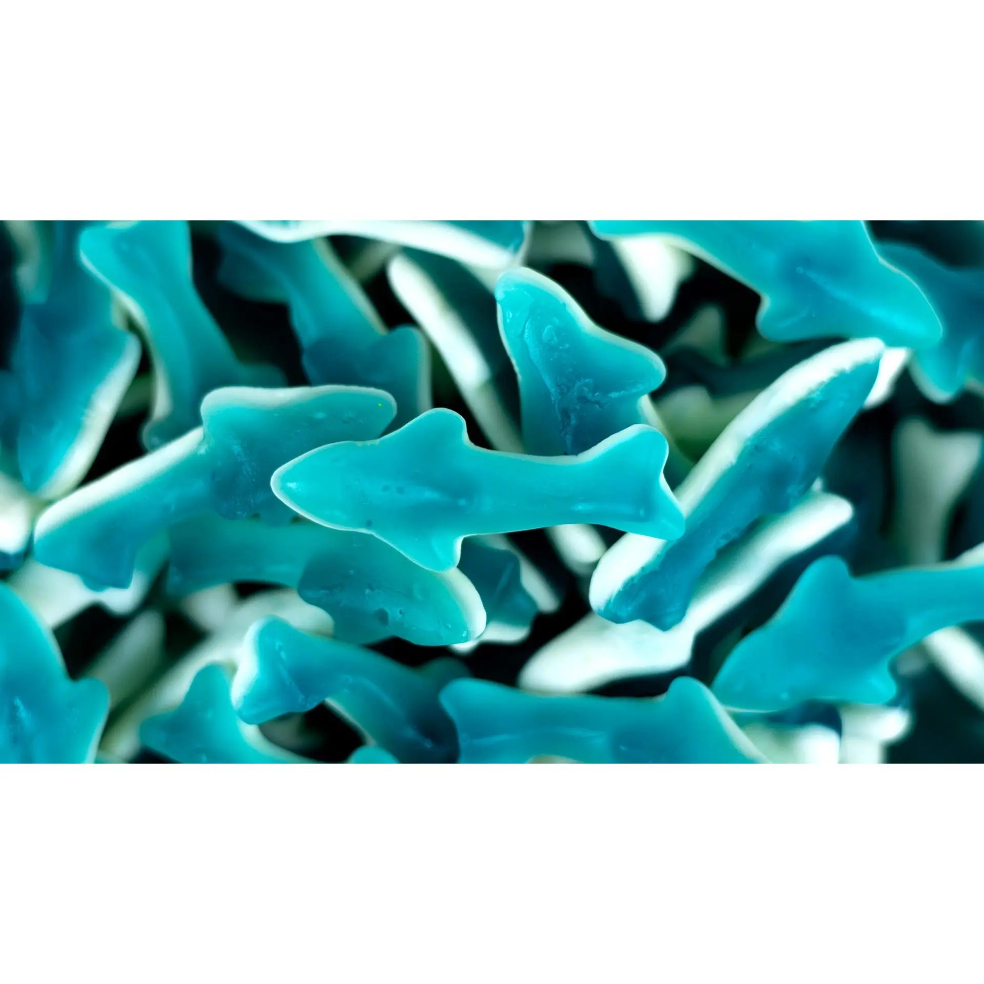 Foam Sharks