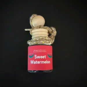 Sweet Watermelon Scented Car Diffuser for Long-Lasting Fragrance