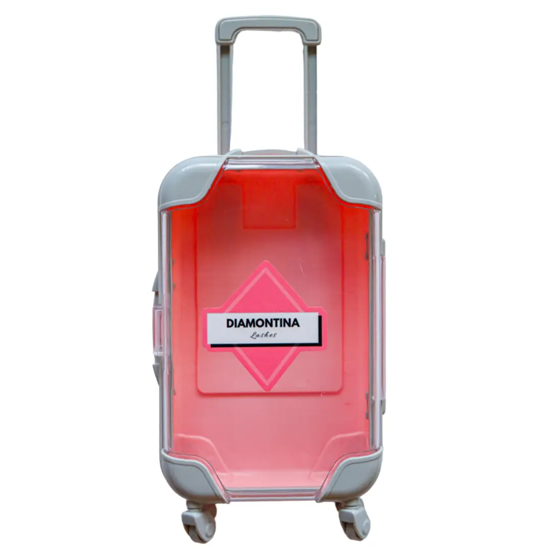 Mini Suitcase