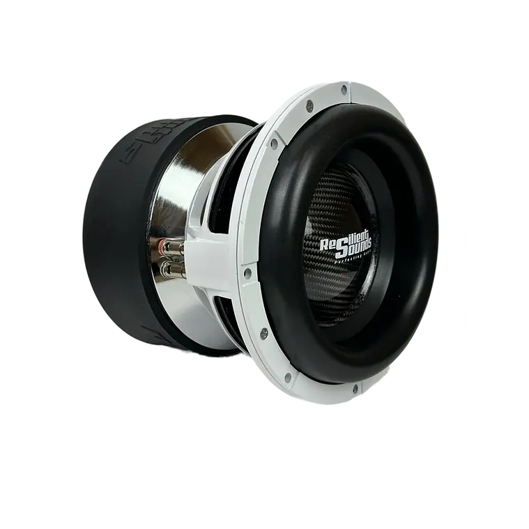 Resilient Sounds Platinum V2 10” Subwoofer