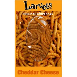 Hotlix Edible Larvets - Delicious BBQ, Cheddar Cheese, Mexican Spice Seasoned Snacks - Dry, Dried  Crunch Bite Crunchy Crispy bug candy