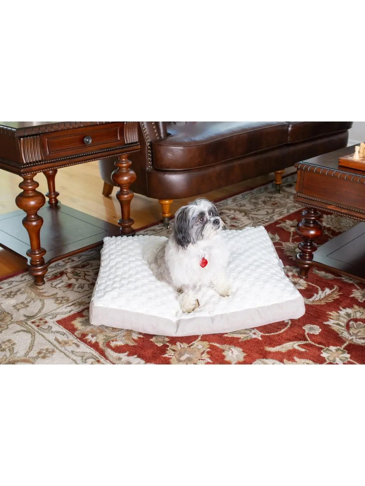 Armarkat M12HMB-MB-M Waterproof Printed Plush Crate Mat - Medium Dog Bed with Poly Fill Cushion, Removable Cover, Handle & Easy Clean Design
