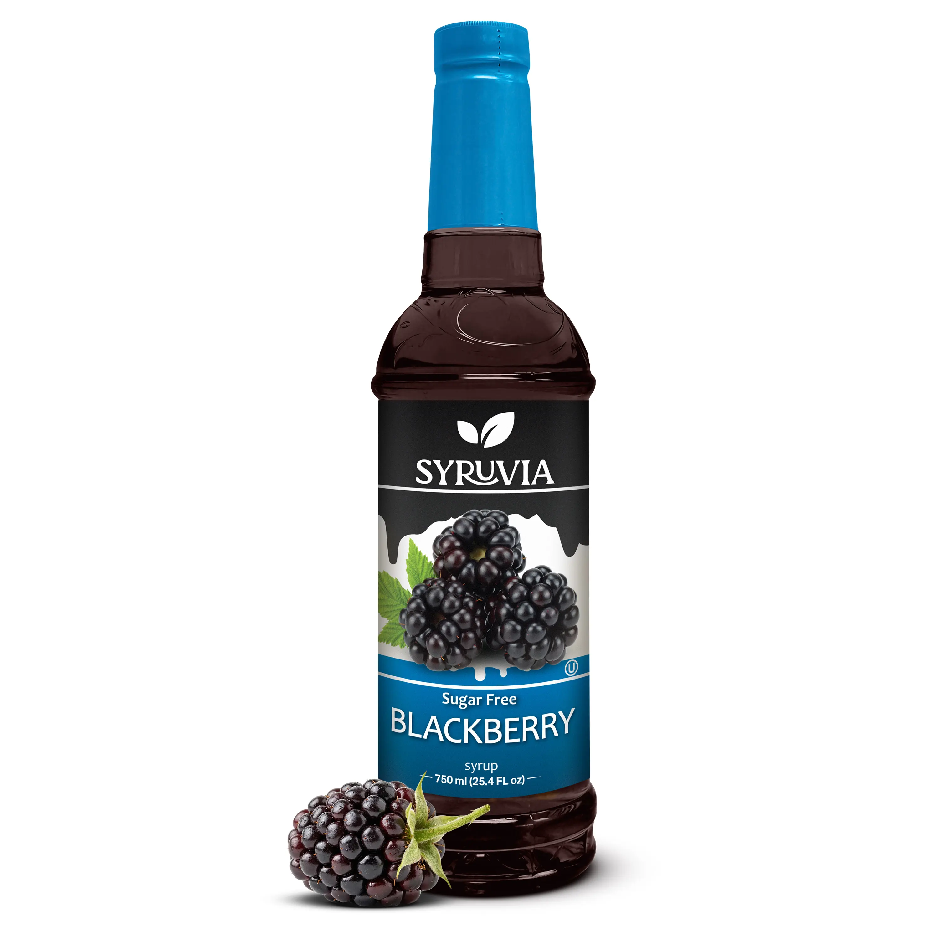 Syruvia Sugar-Free Blackberry Syrup, 25.4 oz. Bold flavor, Kosher, gluten-free. Ideal for drinks, desserts & more. Sweet & delicious
