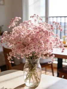 100 Pcs Pink Baby’s Breath Seeds – Easy to Grow, Dense Blooming Gypsophila for Gardens, Pots & Borders – Soft Pink Clouds of Flowers – Seeds Only, Not Live Plants