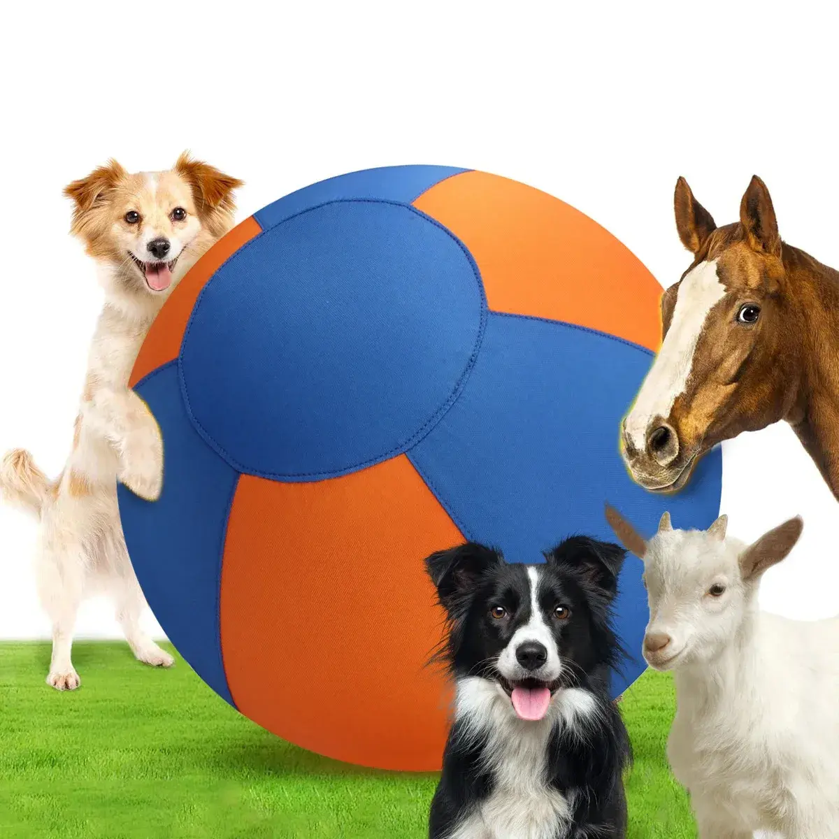 Herding Ball for Dogs, Durable Waterproof Interactive Dog Toy with Dual-Layer Construction, Large Play Ball for Australian Shepherds, Cattle Dogs, Collies & Other Herding Breeds