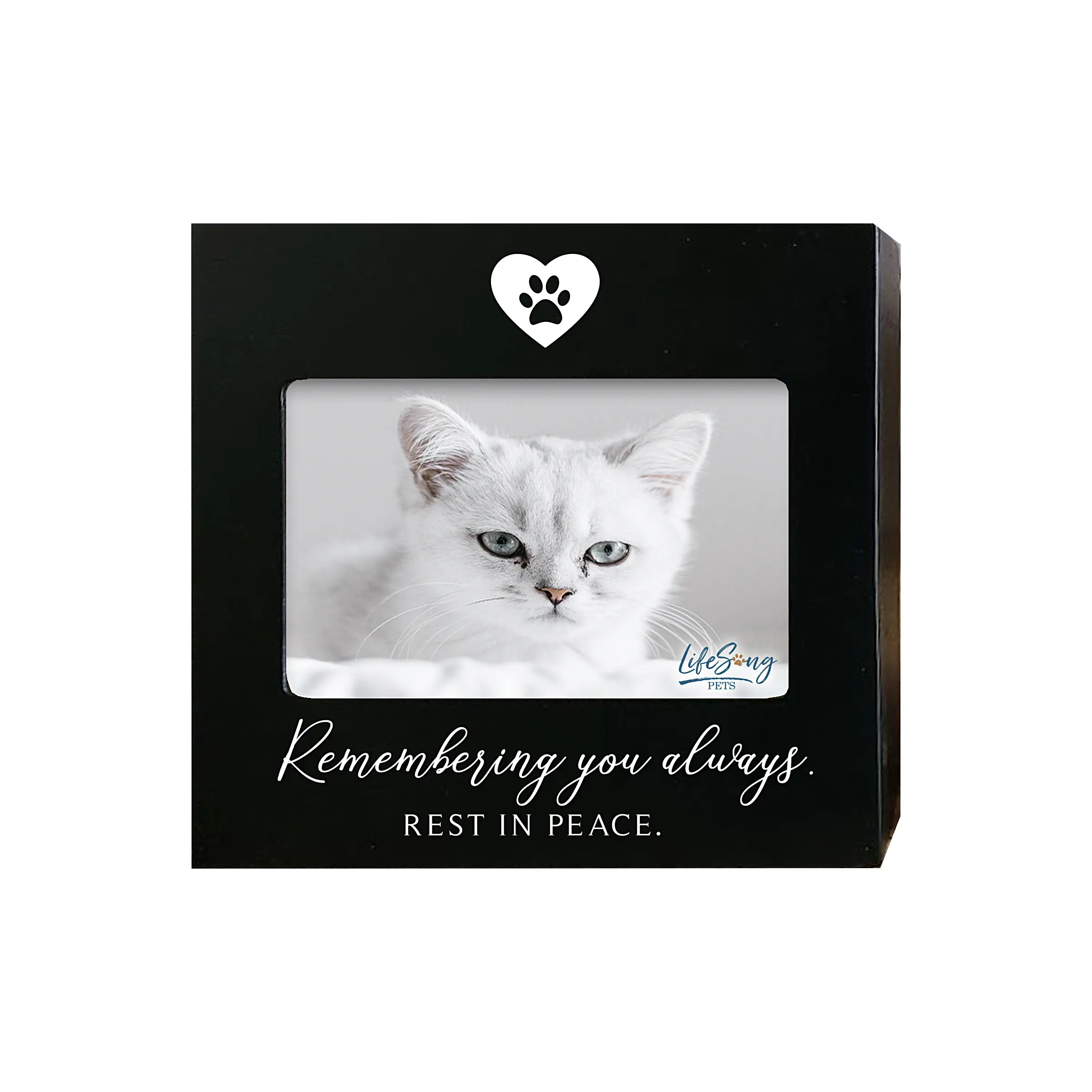 Pet Photo Cremation Urn Box Pet Memorial Gift Pet Ashes Keepsake Box Dog Memorial Pet Remembrance Kittens Cat Loss Gift | Remembering You Always