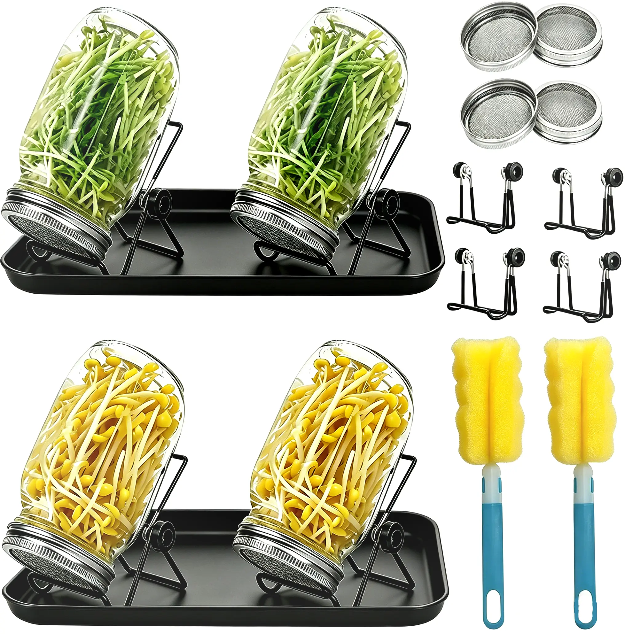 Seed Sprouting Mason Jar Kit - Kitchen Preserving Canister Growing Set for Cultivating Beans, Broccoli Shoots, 4 1000ml Wide-Mouth Jars with Sprouting Lids, Draining Tray, Stainless Steel Stand, Cleaning Brush
