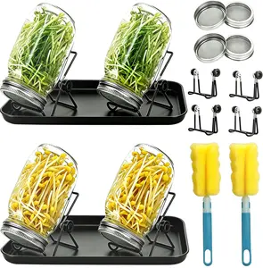 Seed Sprouting Mason Jar Kit: A Growing Set for Cultivating Sprouts, Beans, and Broccoli Shoots — Includes Four 1000ml Large-Capacity Wide-Mouth Mason Jars (with Sprouting Lids), Draining Tray, Stainless Steel Stand, and Cleaning Brush
