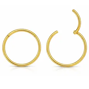 Thin Hoop Earrings Ginger Lyne 20 Gauge Stainless Steel Hinged Clicker for Lobe Cartilage Nose Piercing Body Jewelry