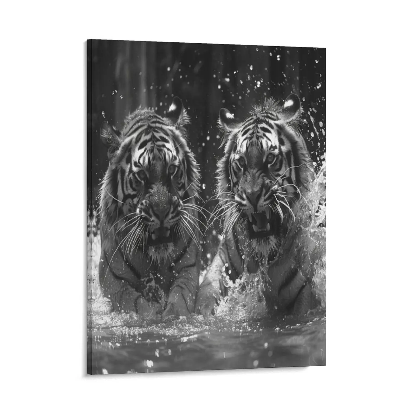 Two Angry Tigers Posters Wall Art Prints Wildlife Animal Playing In Water Canvas Posters Home Wall Art Family Bedroom Office Decor Aesthetic Festival Gift