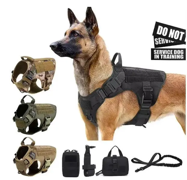 Premium Harness Dog Leash Set