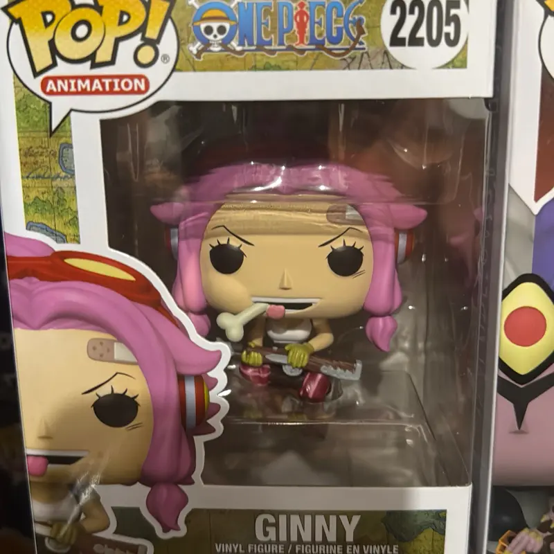 One piece ginny EE