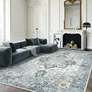 Non Slip Area Rug for Living Room, Entryway, Bedroom, Kitchen and Corridor - Lightweight Mat, Machine Washable Low Pile Rugs
