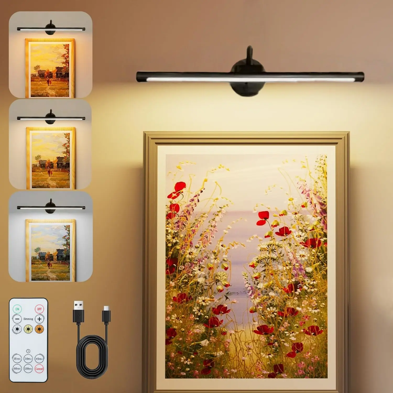 USB Rechargeable Wall Mounted Light, Dimmable Picture Light with Remote Control, Novelty Lighting for Wall Painting, Gallery Art, Painting, Portrait, Decorative Wall Lamp, Elegant Lighting, Dimmable Wall Sconce, Decorative Lights