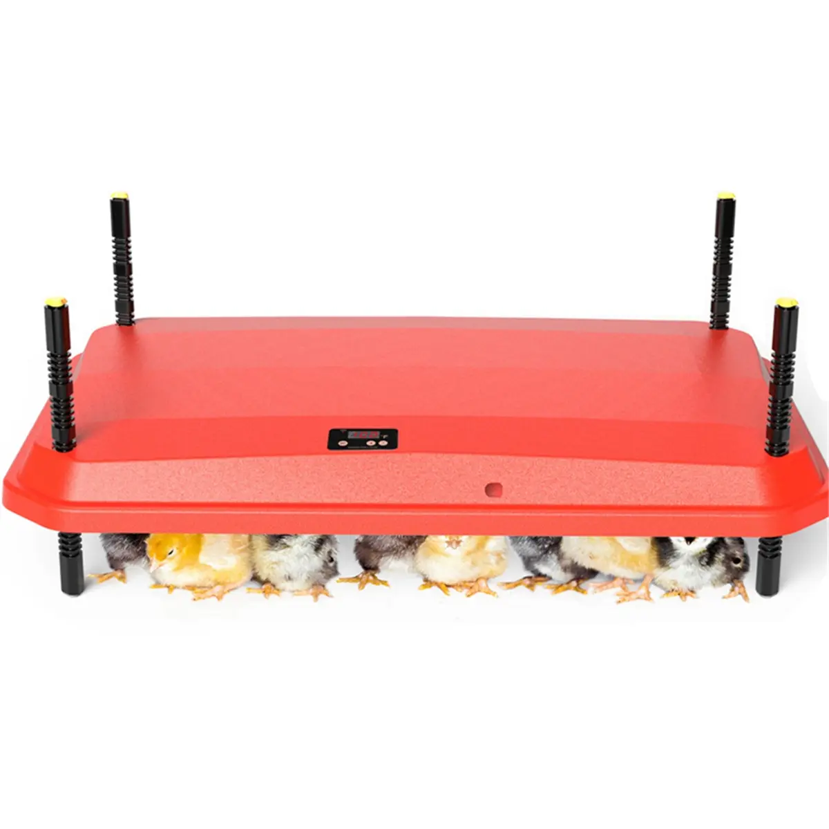 Electric Chick Brooder Heating Plate Adjustable Height Chick Cage Heater Chicken Warmer US Plug