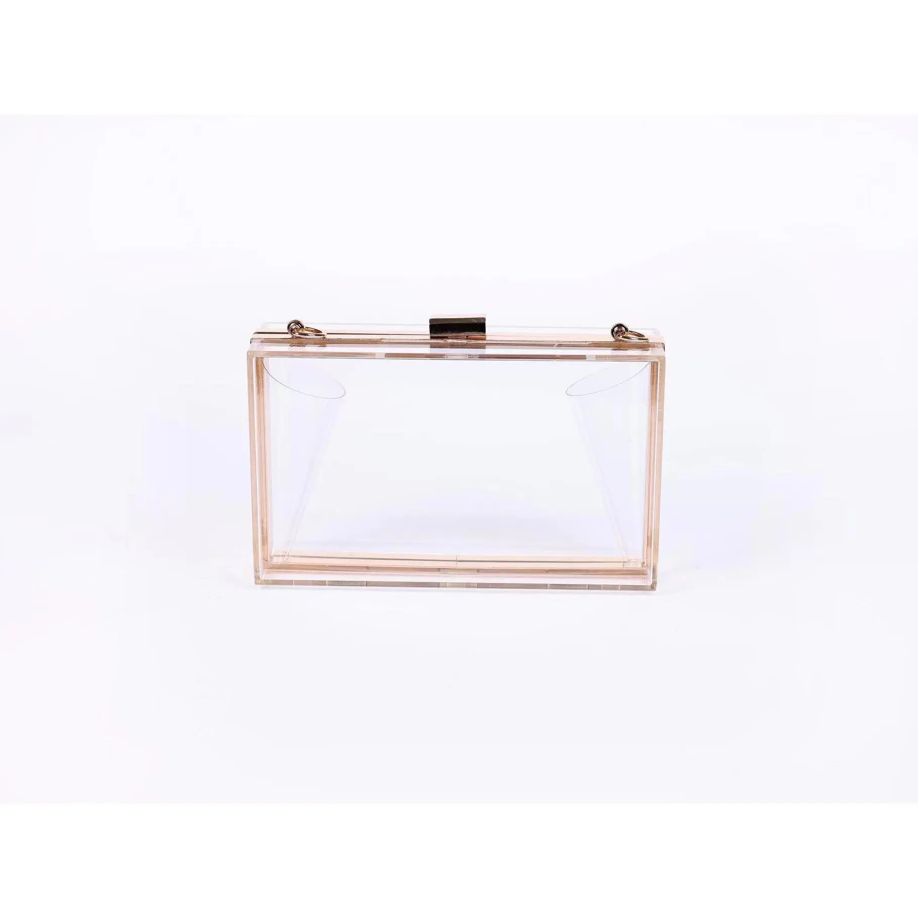 Clear Acrylic Purse