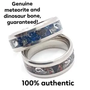 Dinosaur and Meteorite Band Ring